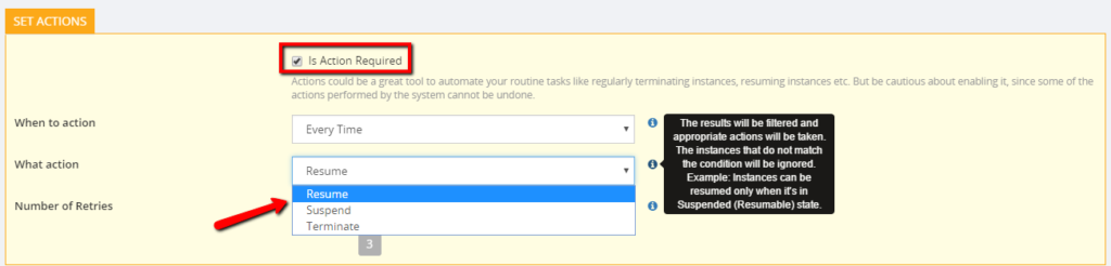 Action Performed on Suspended Instance