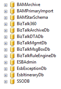 BizTalk360 database