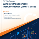BizTalk Server Windows Management Instrumentation (WMI) classes whitepaper