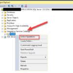 A fish out of water: How to check what SSIS packages are running and stop them?